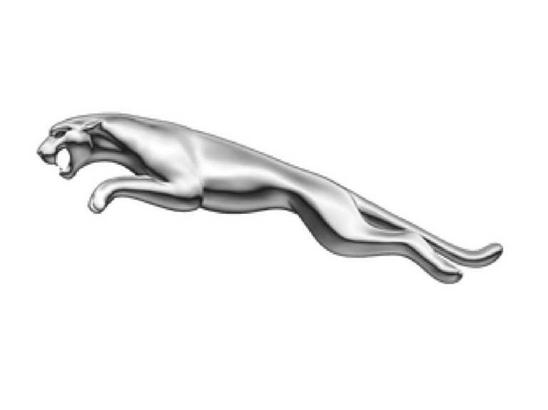 Logos en conjunto-14